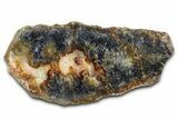 Polished Trent Agate With Stibnite & Realgar - Oregon #378035-1